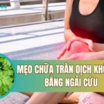 cách chữa tràn dịch khớp gối bằng ngải cứu