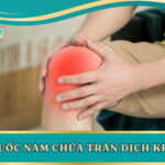 Cây Thuốc Nam Chữa Tràn Dịch Khớp Gối