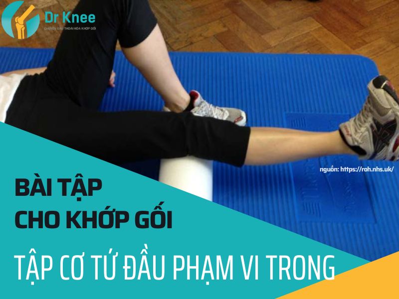 bài tập cho khớp gối