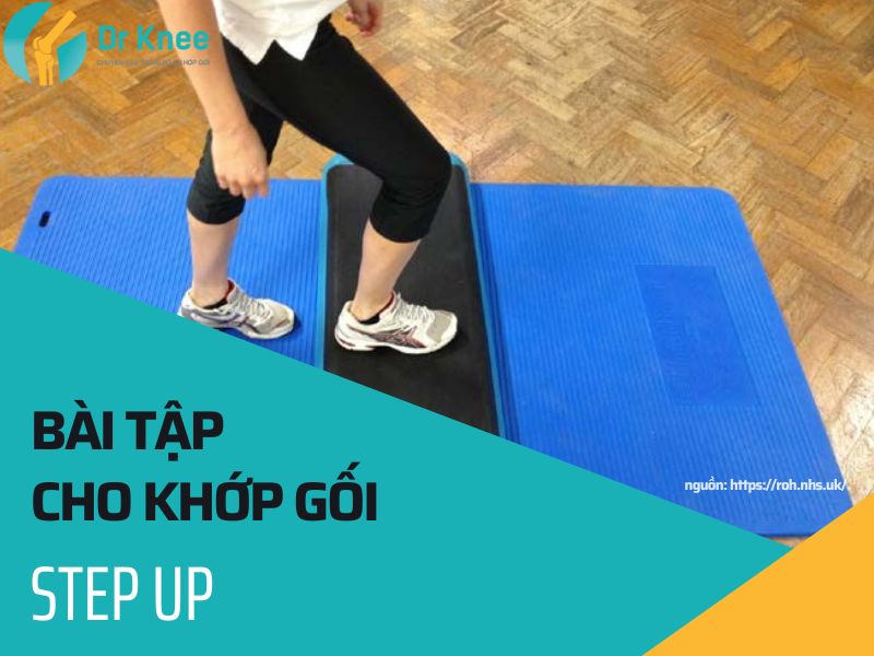 bài tập khớp gối step up