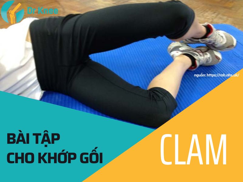 bài tập cho khớp gối clam
